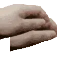 petpet
