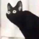 ohno