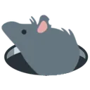 rat_hole