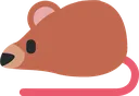 ratbear