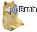 NM3_Bruh NM3_Bruh