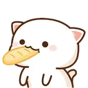 mochiyummy mochiyummy