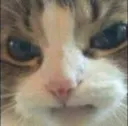 5_mad