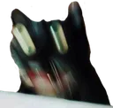 waaaackcat Discord Emoji