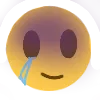 vsad