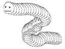 smithsnake