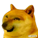 AH_DogeHiloFun