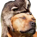 hug_ramcoon hug_ramcoon