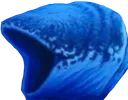pogfish pogfish