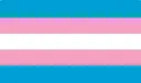 Transgender