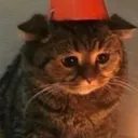sadkitty