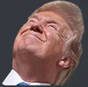 Fez_Trump