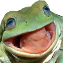 Fproger
