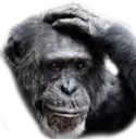 monke_think Discord Emoji