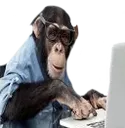 monke_calculate