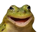 yayfrog Discord Emoji