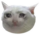 cryingcat