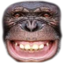 monke_breakdown