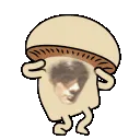 rickieemush rickieemush