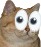 chateyes