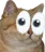 :chateyes: chateyes