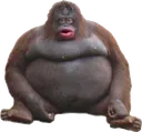Monke Monke