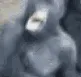 fuckingmentalbreakdown fuckingmentalbreakdown