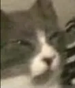 CatJemme Discord Emoji