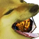 KarriWhale