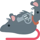 rat_trust_nobody