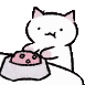 aamkittyeat