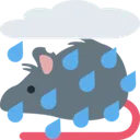 rat_rain