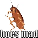 hoesmad
