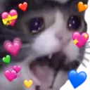 catscream