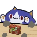 bongorover