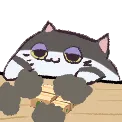 bongopunchy