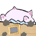 bongoblanca