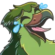 hawkzoLMAO hawkzoLMAO