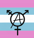 tranarchy Discord emoji
