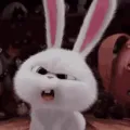 NWsushuh NWsushuh