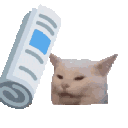 3867_BONK