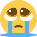 pleadingsob Discord Emoji