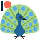 peacock_30 peacock_30