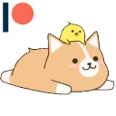 fatdoggo