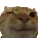 prf_wink