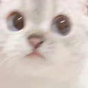 whuh