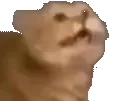 AwesomeDOG