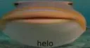 helo