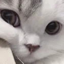 m_u_r