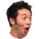 pog pog